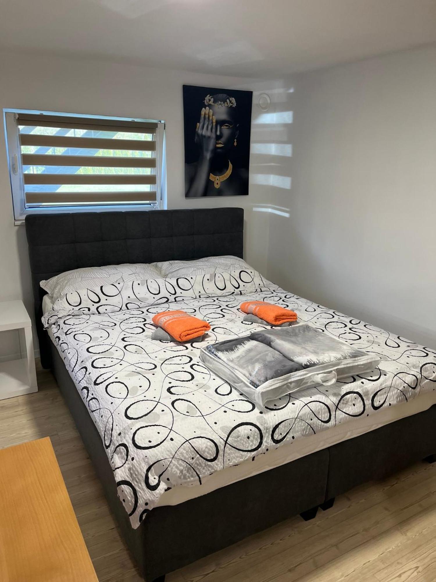 Malivojevic Apartment Zirovnica