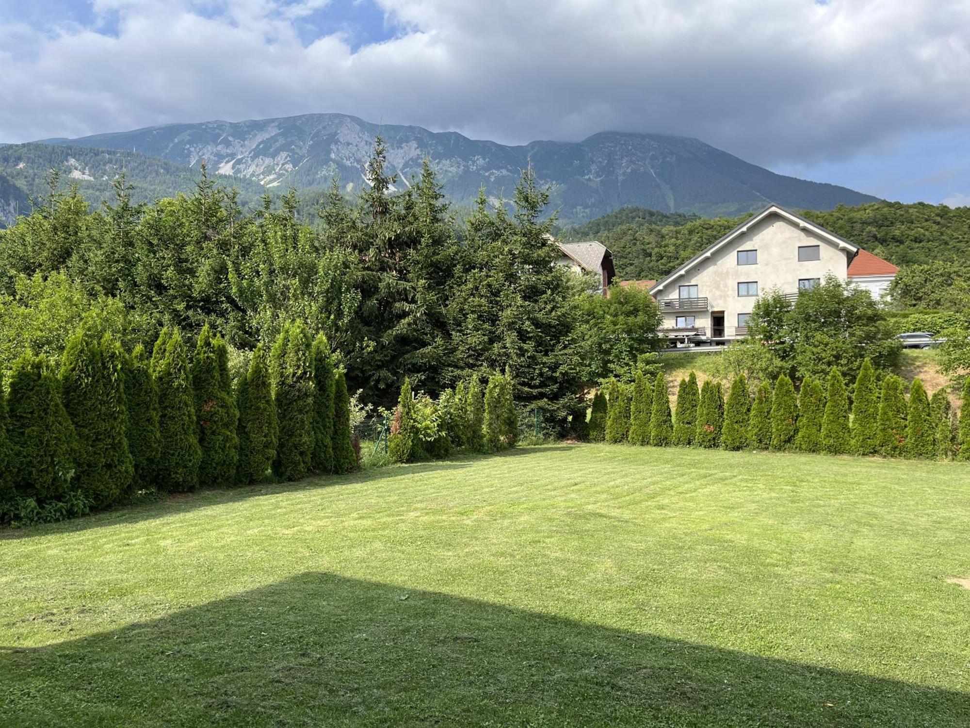Apartment Malivojevic