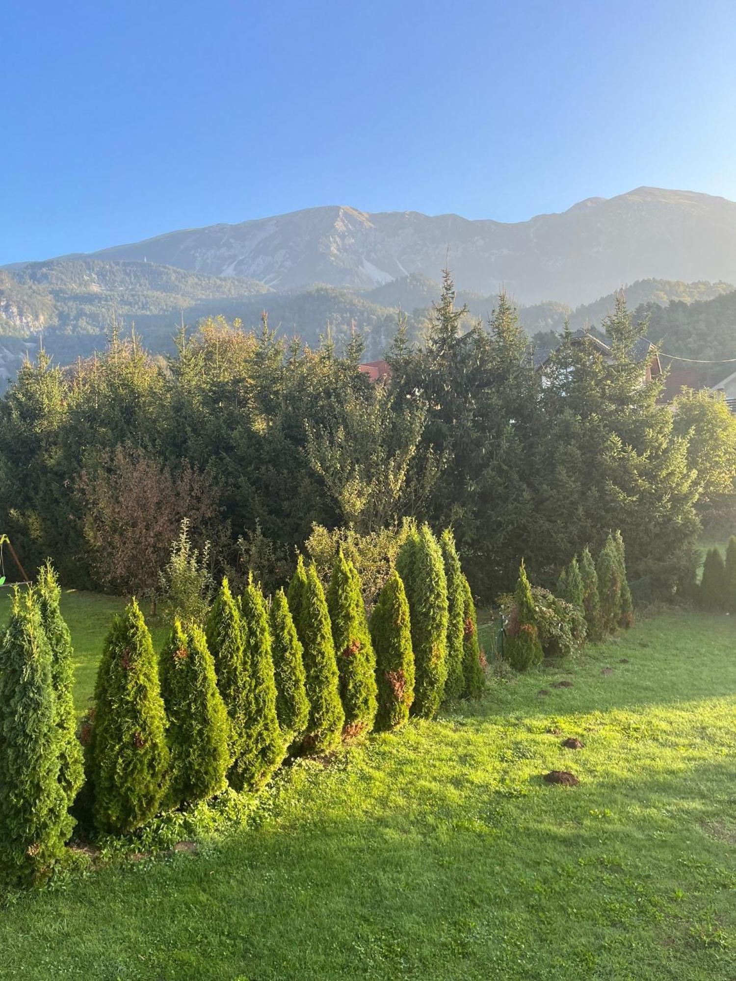 Malivojevic Apartment Zirovnica